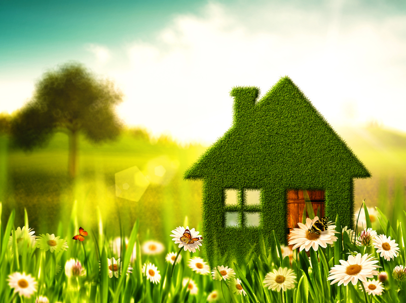 Greener Home